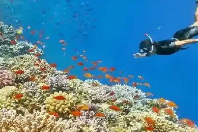 Luxury snorkeling stop in the Red Sea during a private boat Hurghada excursion.