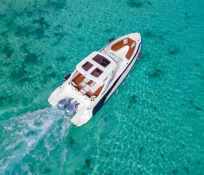 Snorkeling with dolphins in Hurghada - Private boat excursion