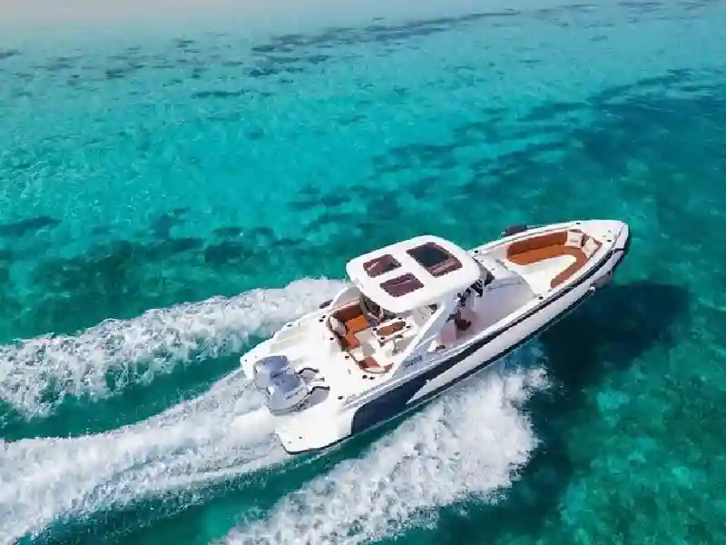 Private Speedboat: Dolphins Tour