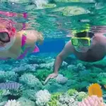 Best Snorkeling Spots Hurghada