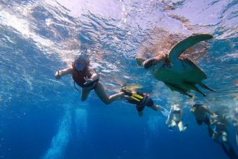 Dabbab-Snorkeling-Trip