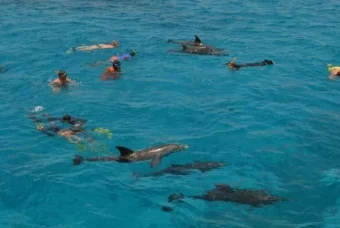 Private-Speed-Boat-Hurghada-4