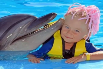 Swimming With Dolphins (4)