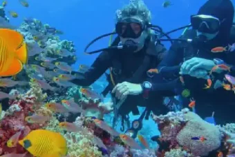 Scuba diving tour Hurghada - Group diving and coral reefs - Manolo Tours