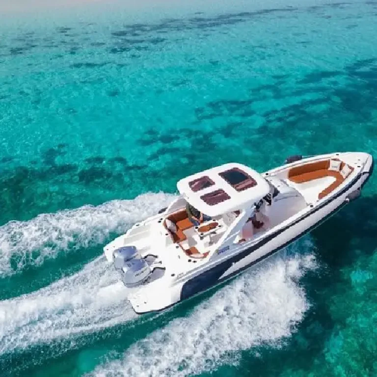 A private speedboat trip in Hurghada to watch wild dolphins and snorkel - Manolo Tours